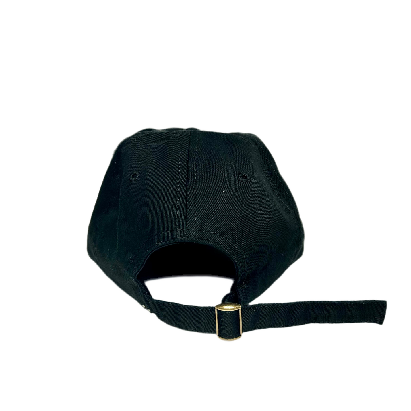 I USED TO CARE Dad Hat - Black