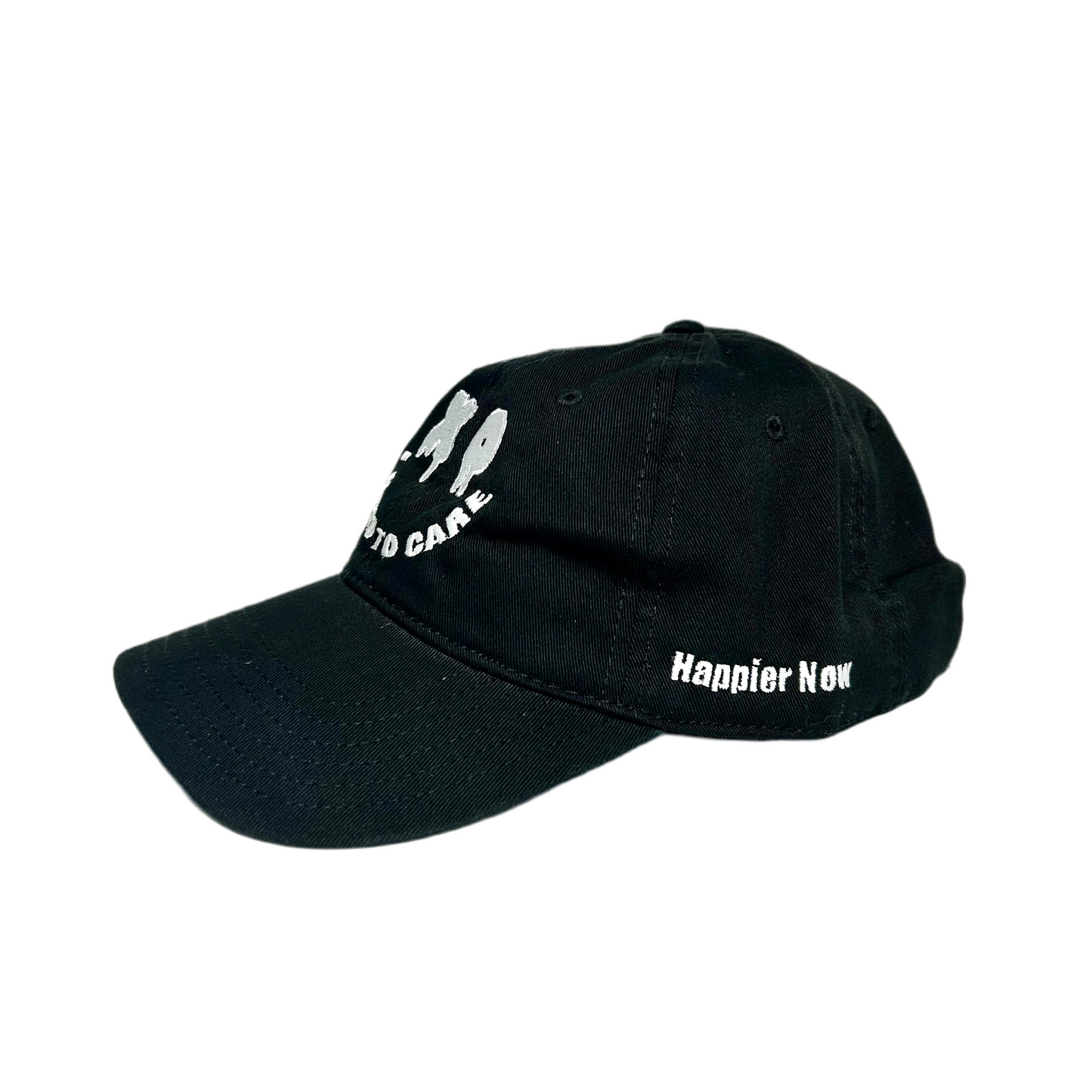 I USED TO CARE Dad Hat - Black